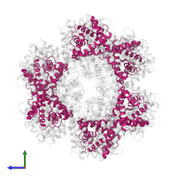 Globin family profile domain-containing protein in PDB entry 1yhu, assembly 1, side view.