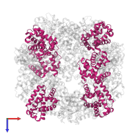 Globin family profile domain-containing protein in PDB entry 1yhu, assembly 1, top view.