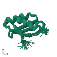 PDB entry 1yjt coloured by chain, ensemble of 30 models, front view.