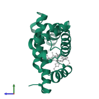 Myoglobin in PDB entry 1ymc, assembly 1, side view.