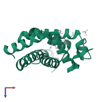 Myoglobin in PDB entry 1ymc, assembly 1, top view.