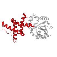 The deposited structure of PDB entry 1yns contains 1 copy of CATH domain 1.10.720.60 (Transcription Termination Factor Rho, Rna-binding Domain; Chain A, Domain 1) in Enolase-phosphatase E1. Showing 1 copy in chain A.