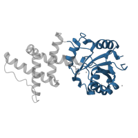 The deposited structure of PDB entry 1yns contains 1 copy of CATH domain 3.40.50.1000 (Rossmann fold) in Enolase-phosphatase E1. Showing 1 copy in chain A.