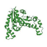 The deposited structure of PDB entry 1yr6 contains 1 copy of SCOP domain 52652 (Nitrogenase iron protein-like) in GPN-loop GTPase PAB0955. Showing 1 copy in chain A.