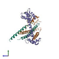 Hetero trimeric assembly 1 of PDB entry 1ytz coloured by chemically distinct molecules, side view.