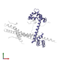 Troponin C, skeletal muscle in PDB entry 1ytz, assembly 1, front view.