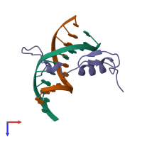 PDB entry 1yui coloured by chain, top view.