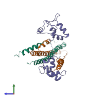 PDB entry 1yv0 coloured by chain, side view.