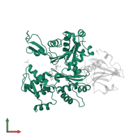 Actin in PDB entry 1yvn, assembly 1, front view.