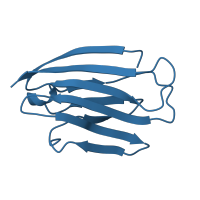 The deposited structure of PDB entry 1z2k contains 1 copy of Pfam domain PF11465 (Natural killer cell receptor 2B4) in Natural killer cell receptor 2B4. Showing 1 copy in chain A.