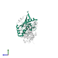 SUMO-conjugating enzyme UBC9 in PDB entry 1z5s, assembly 1, side view.