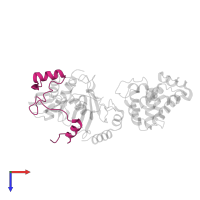 E3 SUMO-protein ligase RanBP2 in PDB entry 1z5s, assembly 1, top view.