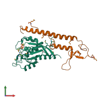 PDB entry 1zbd coloured by chain, front view.