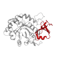 The deposited structure of PDB entry 1zbv contains 1 copy of CATH domain 3.10.50.10 (Chitinase A; domain 3) in Chitinase-3-like protein 1. Showing 1 copy in chain A.