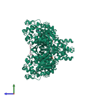 Homo dimeric assembly 1 of PDB entry 1zd3 coloured by chemically distinct molecules, side view.