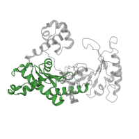 The deposited structure of PDB entry 1zet contains 1 copy of CATH domain 3.30.70.270 (Alpha-Beta Plaits) in DNA polymerase iota. Showing 1 copy in chain C [auth A].