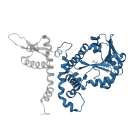 The deposited structure of PDB entry 1zhf contains 1 copy of CATH domain 3.40.50.150 (Rossmann fold) in Isoflavone 4'-O-methyltransferase. Showing 1 copy in chain A.