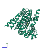 PDB entry 1zkl coloured by chain, side view.