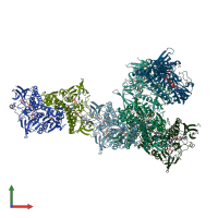 PDB entry 1zmd coloured by chain, front view.