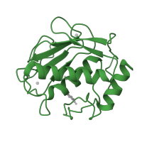 The deposited structure of PDB entry 1zp5 contains 1 copy of SCOP domain 55528 (Matrix metalloproteases, catalytic domain) in Neutrophil collagenase. Showing 1 copy in chain A.