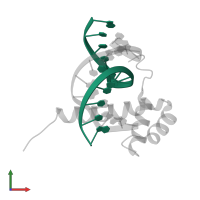 5'-D(*GP*CP*TP*CP*TP*AP*AP*TP*CP*CP*CP*CP*G)-3' in PDB entry 1zq3, assembly 1, front view.