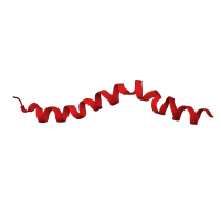 The deposited structure of PDB entry 1zrx contains 1 copy of CATH domain 6.10.250.280 (Single alpha-helices involved in coiled-coils or other helix-helix interfaces) in Stomoxyn. Showing 1 copy in chain A.