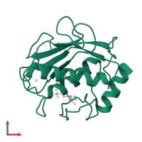 Neutrophil collagenase in PDB entry 1zs0, assembly 1, front view.