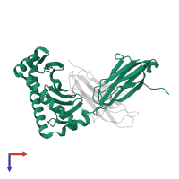 MHC class I antigen in PDB entry 1zvs, assembly 1, top view.