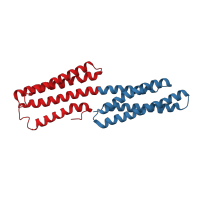 The deposited structure of PDB entry 1zw3 contains 2 copies of CATH domain 1.20.120.230 (Four Helix Bundle (Hemerythrin (Met), subunit A)) in Vinculin. Showing 2 copies in chain A.