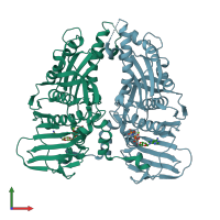 PDB entry 1zxm coloured by chain, front view.