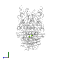MAGNESIUM ION in PDB entry 1zxm, assembly 1, side view.