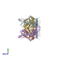 PDB entry 2a1d coloured by chain, side view.