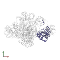 Electron transfer flavoprotein subunit beta in PDB entry 2a1t, assembly 1, front view.