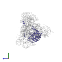 Electron transfer flavoprotein subunit beta in PDB entry 2a1t, assembly 1, side view.