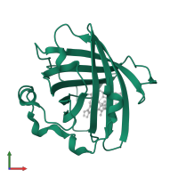 Nitrophorin-2 in PDB entry 2a3f, assembly 1, front view.
