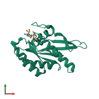 PDB entry 2a5j coloured by chain, front view.