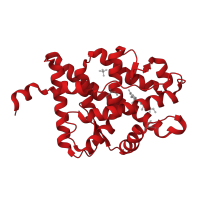 The deposited structure of PDB entry 2aa7 contains 1 copy of CATH domain 1.10.565.10 (Retinoid X Receptor) in Mineralocorticoid receptor. Showing 1 copy in chain A.