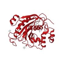 The deposited structure of PDB entry 2ae7 contains 3 copies of CATH domain 3.90.550.10 (Spore Coat Polysaccharide Biosynthesis Protein SpsA; Chain A) in Beta-1,4-galactosyltransferase 1. Showing 1 copy in chain A.