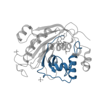 The deposited structure of PDB entry 2ae7 contains 3 copies of Pfam domain PF02709 (N-terminal domain of galactosyltransferase) in Beta-1,4-galactosyltransferase 1. Showing 1 copy in chain A.
