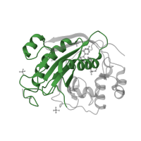 The deposited structure of PDB entry 2ae7 contains 3 copies of Pfam domain PF13733 (N-terminal region of glycosyl transferase group 7) in Beta-1,4-galactosyltransferase 1. Showing 1 copy in chain A.