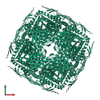 Homo 24-meric assembly 1 of PDB entry 2ae8 coloured by chemically distinct molecules, front view.