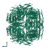 Homo 24-meric assembly 1 of PDB entry 2ae8 coloured by chemically distinct molecules, side view.