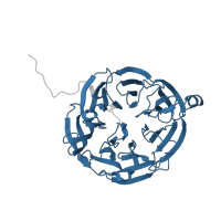 The deposited structure of PDB entry 2agw contains 2 copies of Pfam domain PF06433 (Methylamine dehydrogenase heavy chain (MADH)) in Aralkylamine dehydrogenase heavy chain. Showing 1 copy in chain D [auth B].