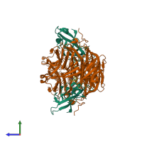 Hetero tetrameric assembly 1 of PDB entry 2agw coloured by chemically distinct molecules, side view.