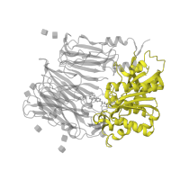 The deposited structure of PDB entry 2ajl contains 2 copies of SCOP domain 82497 (DPP6 catalytic domain-like) in Dipeptidyl peptidase 4. Showing 1 copy in chain B [auth J].