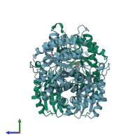 PDB entry 2akm coloured by chain, side view.