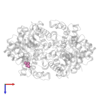 2-AMINO-2-HYDROXYMETHYL-PROPANE-1,3-DIOL in PDB entry 2akz, assembly 1, top view.