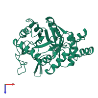 Aldo-keto reductase family 1 member A1 in PDB entry 2alr, assembly 1, top view.