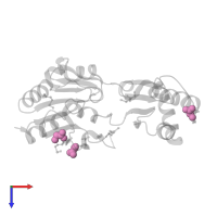 GLYCINE in PDB entry 2amy, assembly 1, top view.