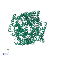 Homo hexameric assembly 1 of PDB entry 2anc coloured by chemically distinct molecules, side view.